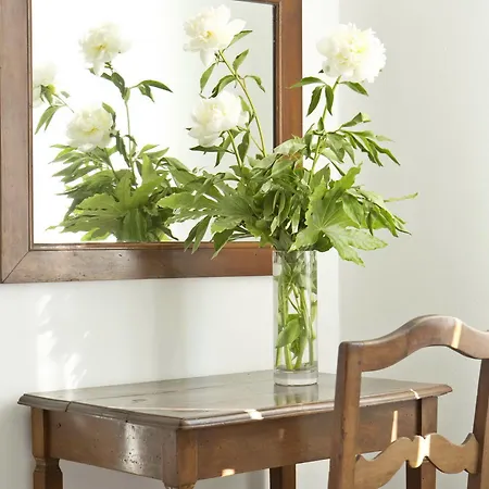 Bed & Breakfast Albaro 2*